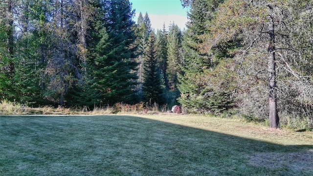 view of yard with a view of trees
