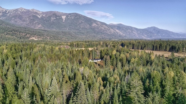 mountain view with a wooded view