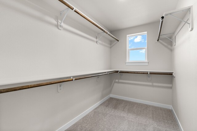 spacious closet with carpet floors