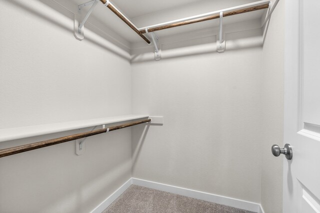 spacious closet with light colored carpet