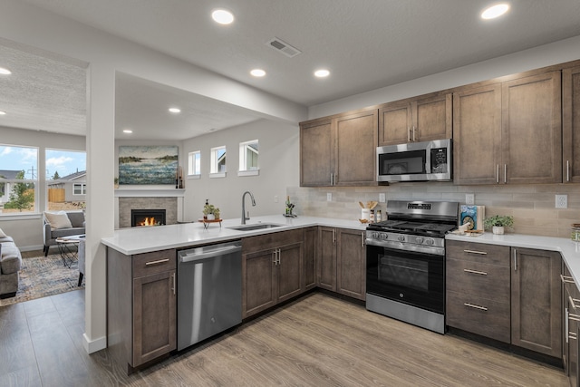 kitchen featuring light hardwood / wood-style floors, sink, a fireplace, decorative backsplash, and appliances with stainless steel finishes