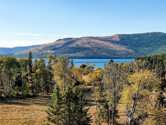 TR5A Guinn Ln, Proctor MT, 59929 land for sale