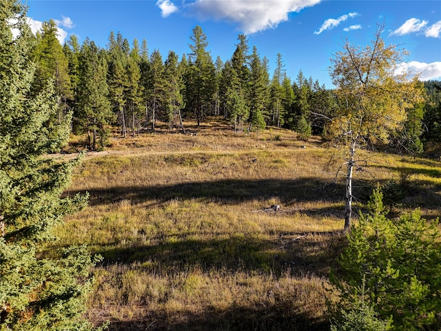 Listing photo 3 for TR5A Guinn Ln, Proctor MT 59929