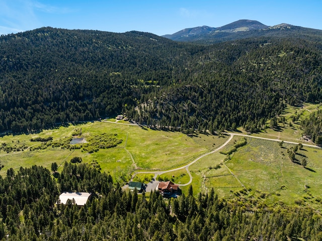 bird's eye view featuring a mountain view