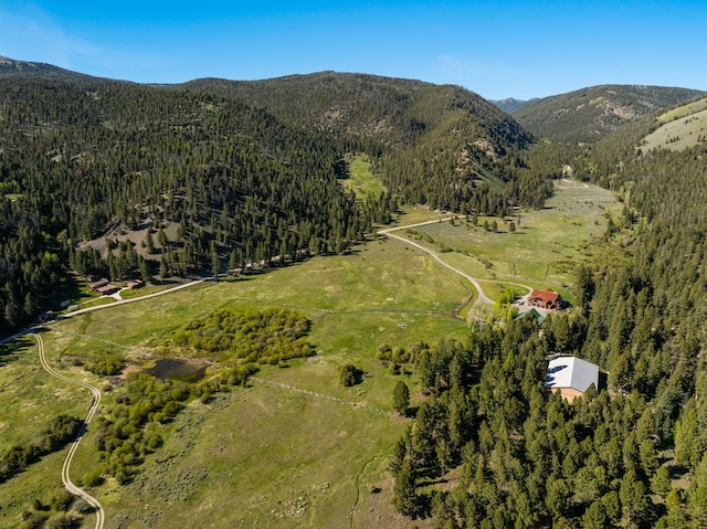 birds eye view of property featuring a mountain view