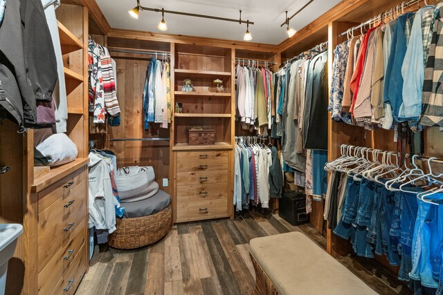 spacious closet featuring dark wood-type flooring