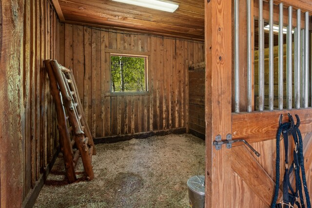 view of horse barn