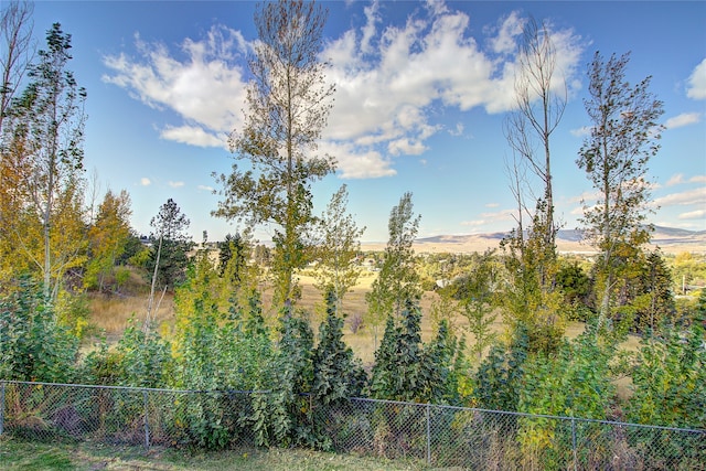 view of yard featuring a mountain view