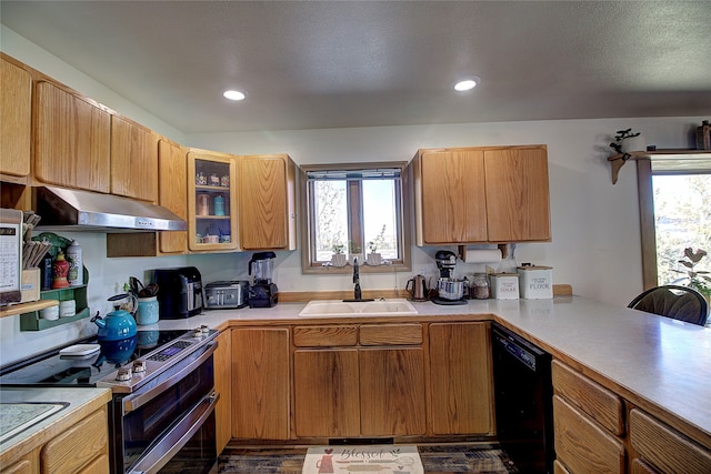 kitchen with exhaust hood, dishwasher, plenty of natural light, and sink