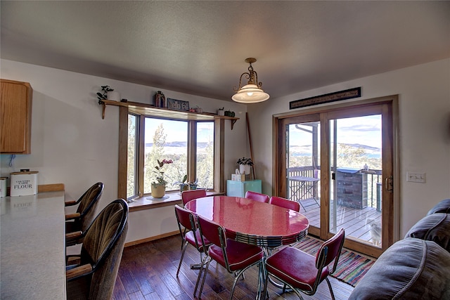 dining space featuring dark hardwood / wood-style floors