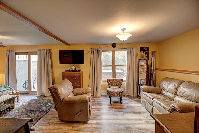 living room featuring ceiling fan and hardwood / wood-style flooring