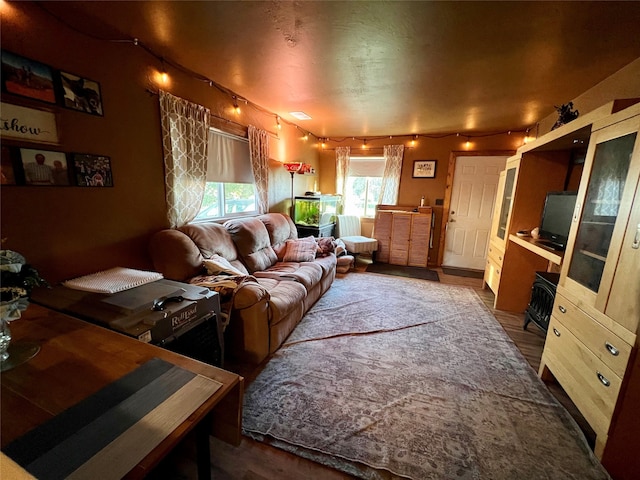 living room with hardwood / wood-style flooring