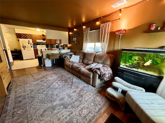 living room featuring hardwood / wood-style flooring