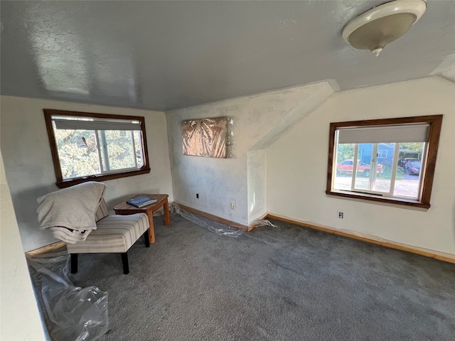 unfurnished room with carpet, vaulted ceiling, and a textured ceiling