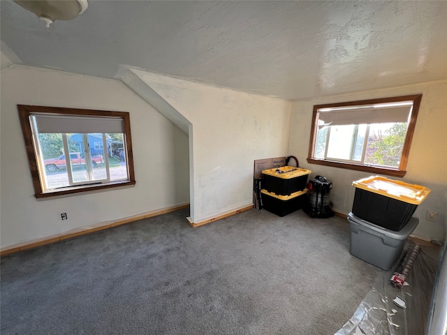 bonus room with a textured ceiling, lofted ceiling, and carpet