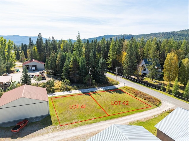 305 Ferndale Dr Unit 41, Bigfork MT, 59911 land for sale