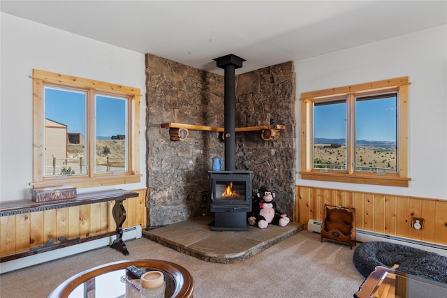 53 Skyview Ln, Townsend, MT 59644 - living area with carpet, a wood stove, and a baseboard heating unit