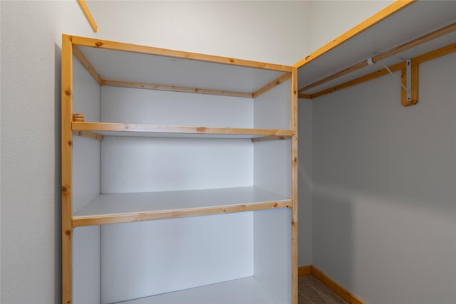 53 Skyview Ln, Townsend, MT 59644 - walk in closet featuring carpet flooring