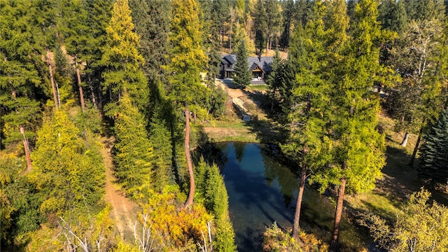 drone / aerial view with a water view