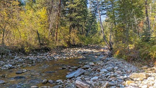 view of local wilderness