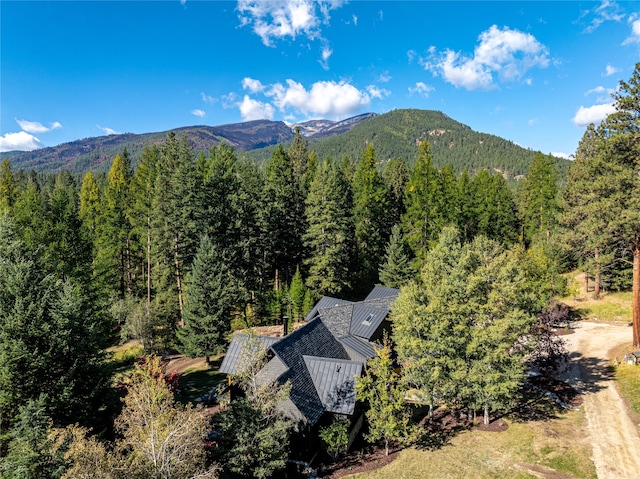 exterior space featuring a mountain view