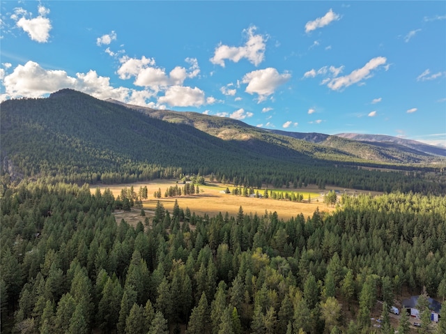 property view of mountains