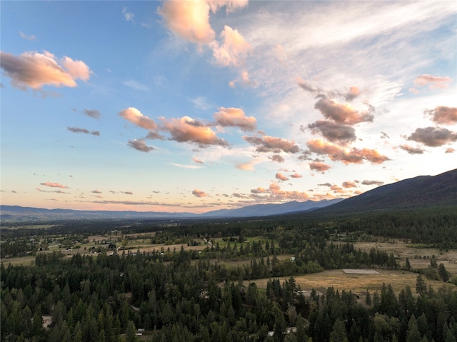 view of mountain feature