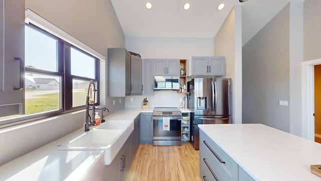 kitchen with gray cabinetry, stainless steel appliances, sink, and light hardwood / wood-style flooring