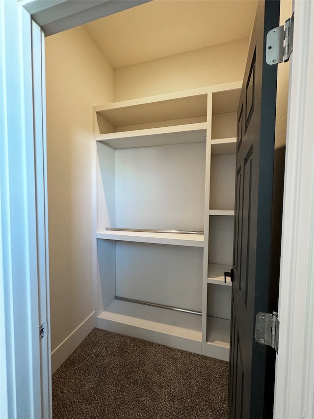 spacious closet with dark colored carpet