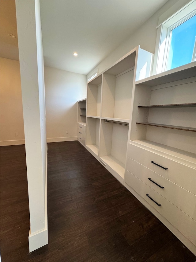 walk in closet with dark wood-type flooring