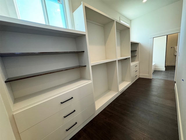 spacious closet with dark hardwood / wood-style flooring