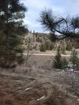 TBD Bear Gulch Rd, Drummond MT, 59832 land for sale