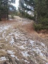 Listing photo 3 for TBD Bear Gulch Rd, Drummond MT 59832