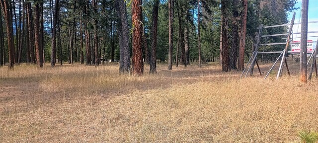 TBD US Highway 2, Libby, MT 59923