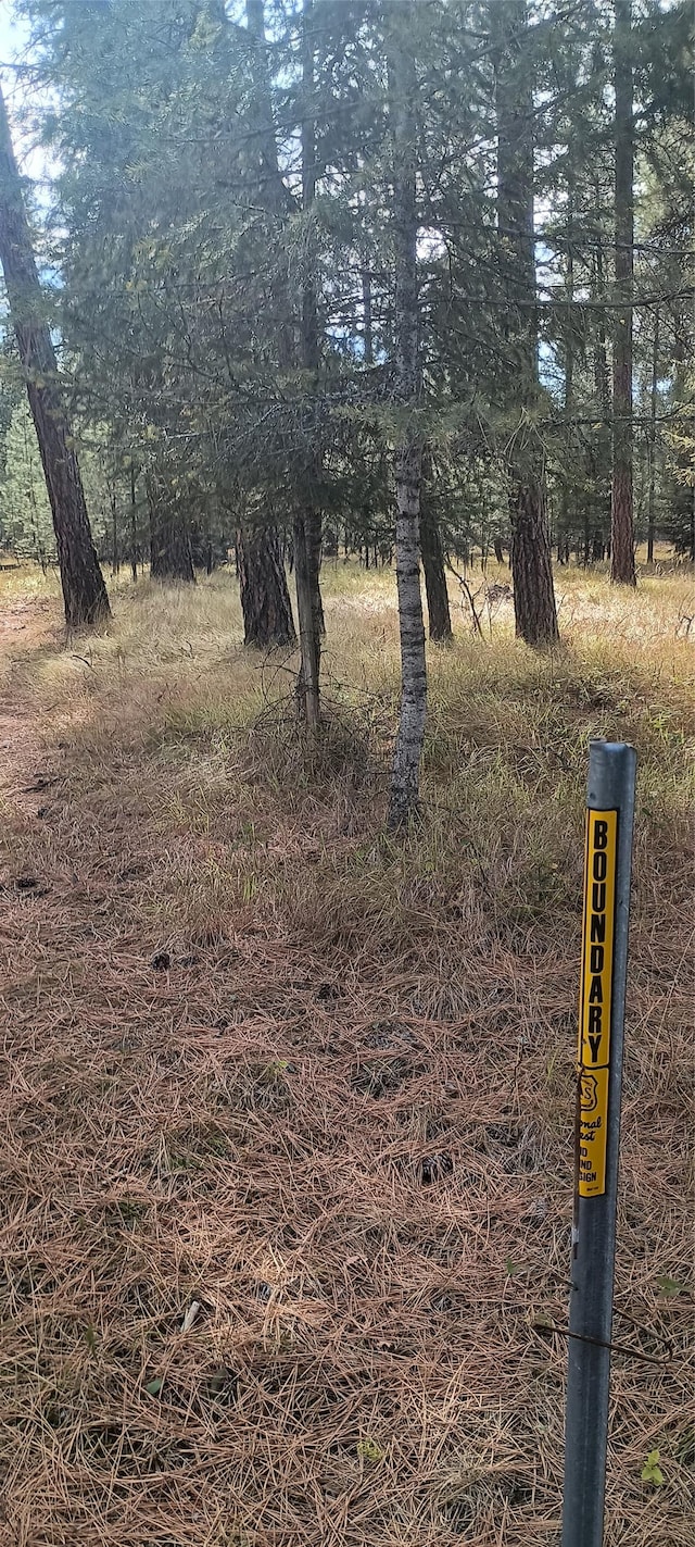 TBD US Highway 2, Libby, MT 59923