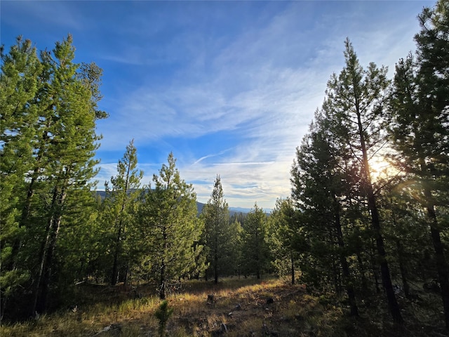 view of local wilderness