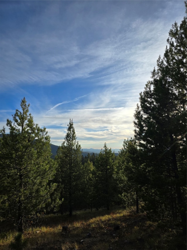 view of local wilderness