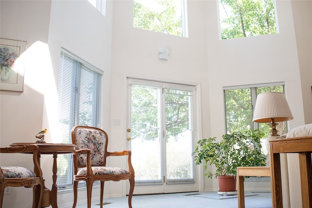 doorway to outside featuring carpet floors, a healthy amount of sunlight, and a high ceiling