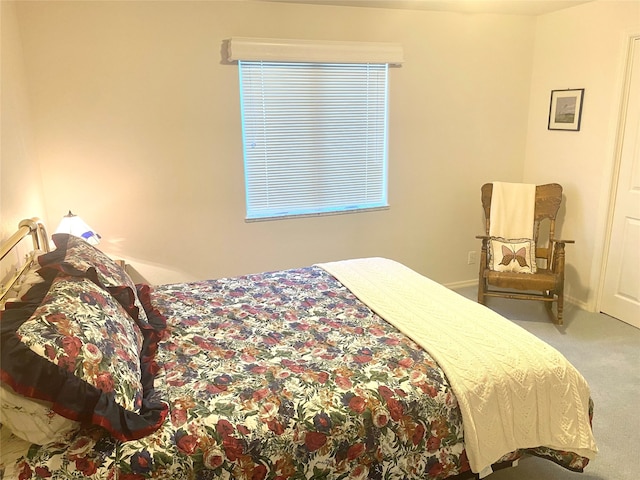 bedroom with carpet floors