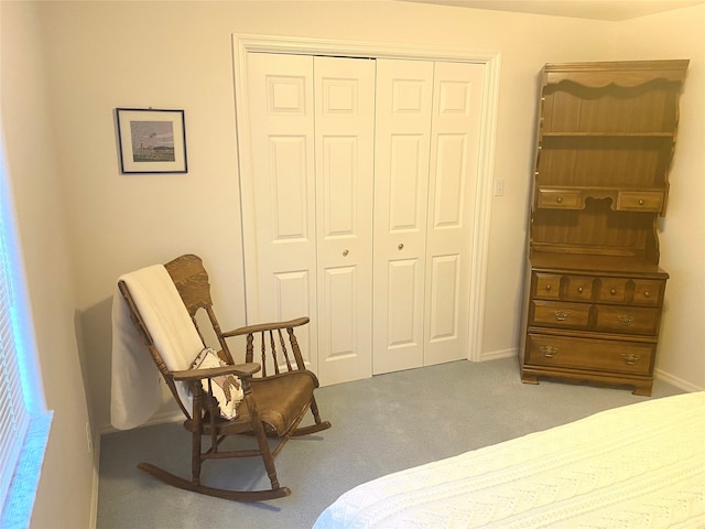 carpeted bedroom with a closet