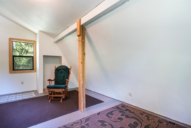 sitting room featuring lofted ceiling