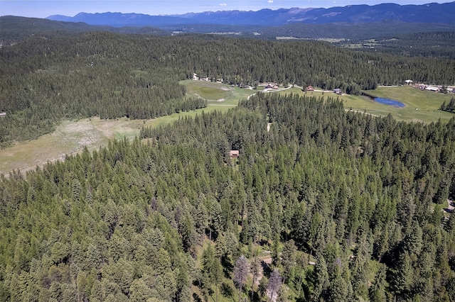 birds eye view of property featuring a mountain view