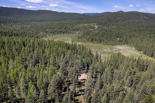 birds eye view of property with a mountain view