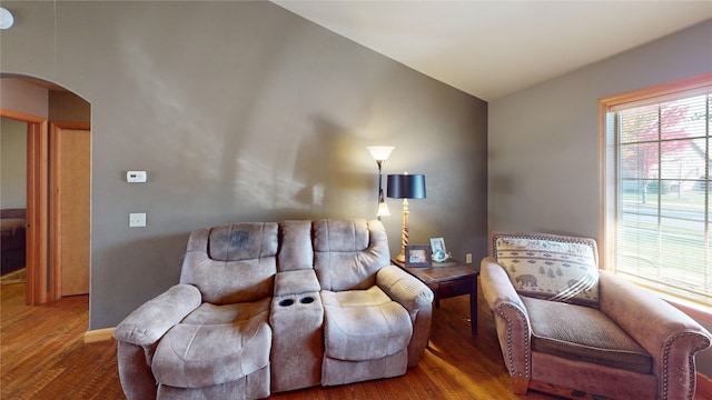 living room featuring vaulted ceiling and dark wood-type flooring