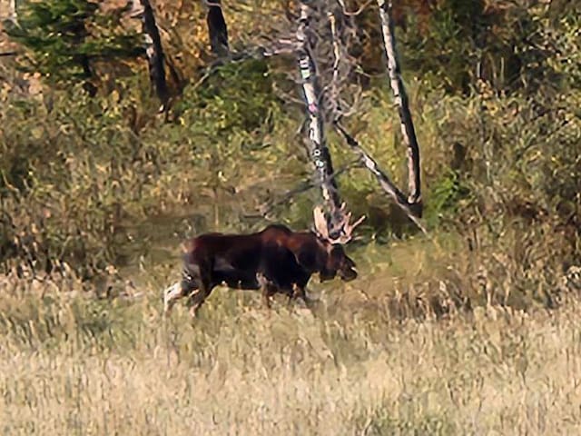 NHN Chestnut Rd, Bozeman MT, 59715 land for sale