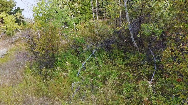 NHN Chestnut Rd, Bozeman, MT 59715
