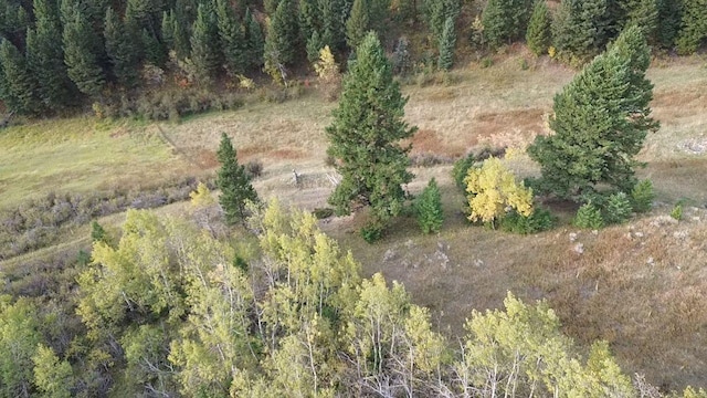 NHN Chestnut Rd, Bozeman, MT 59715