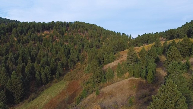 NHN Chestnut Rd, Bozeman, MT 59715