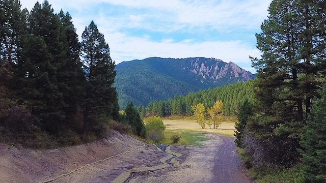 NHN Chestnut Rd, Bozeman, MT 59715
