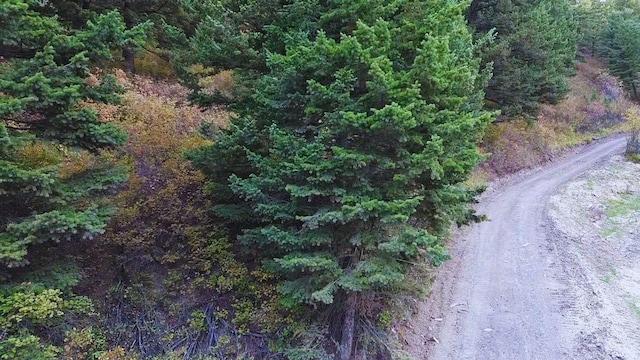 NHN Chestnut Rd, Bozeman, MT 59715